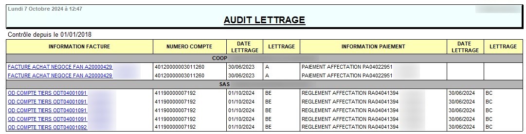 wiki:docs_en_cours:audit_lettrage_2.jpg