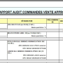 rapport_audit_cde_vente_appro.png